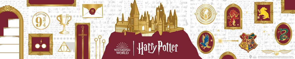 Harry Potter Kinder T-Shirts