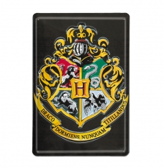 1-3D Blechschild Harry Potter Unerwünschter Nr LOGOSHIRT Film