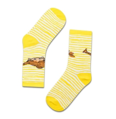 Pippi Langstrumpf - Streifen - koaa - Socken - Kinder und Erwachsene 