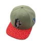 morepic-1