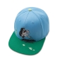 morepic-1
