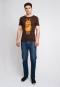 morepic-2