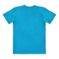 morepic-4
