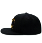morepic-5