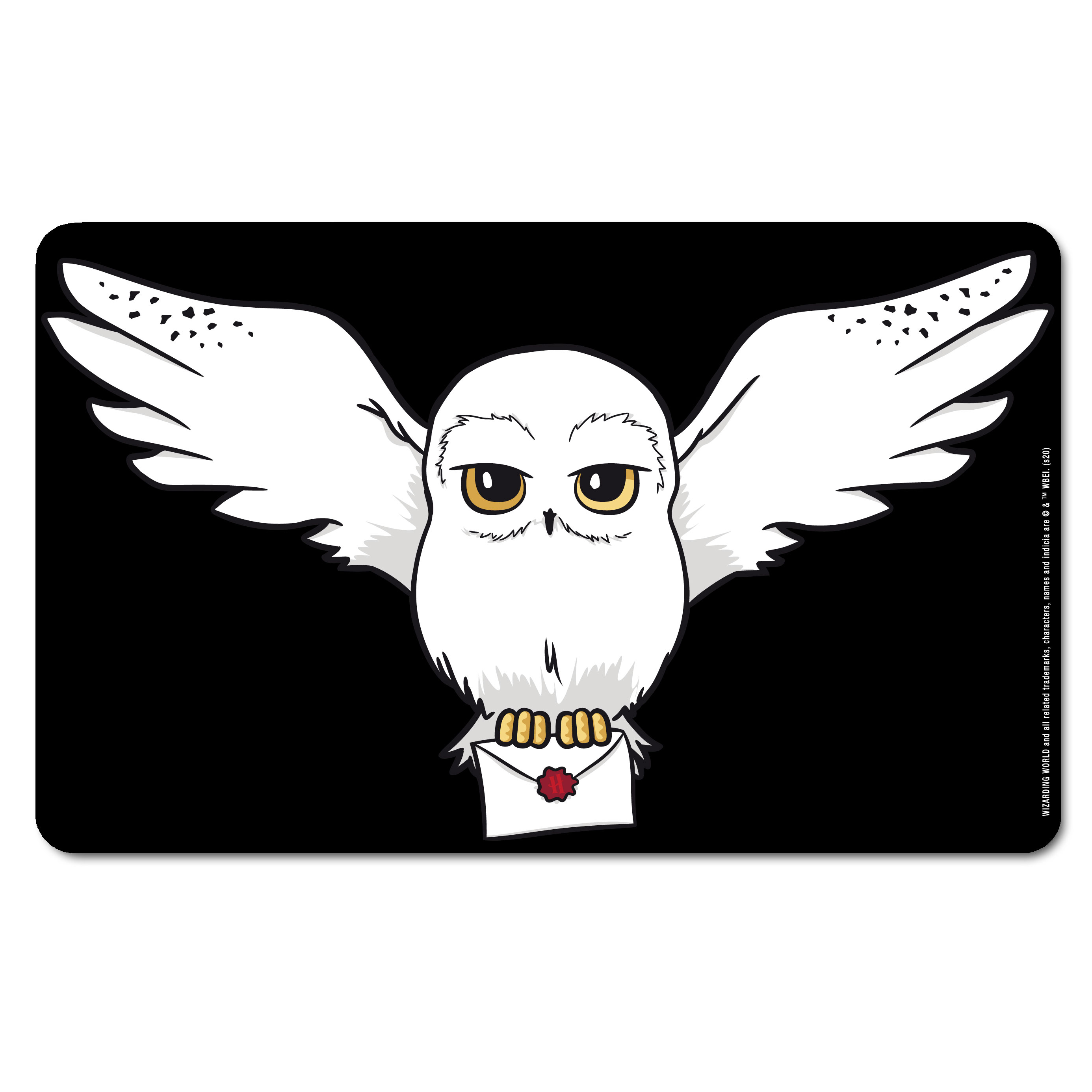 Harry Potter and Hedwig.  Harry potter owl, Harry potter hedwig, Harry  potter