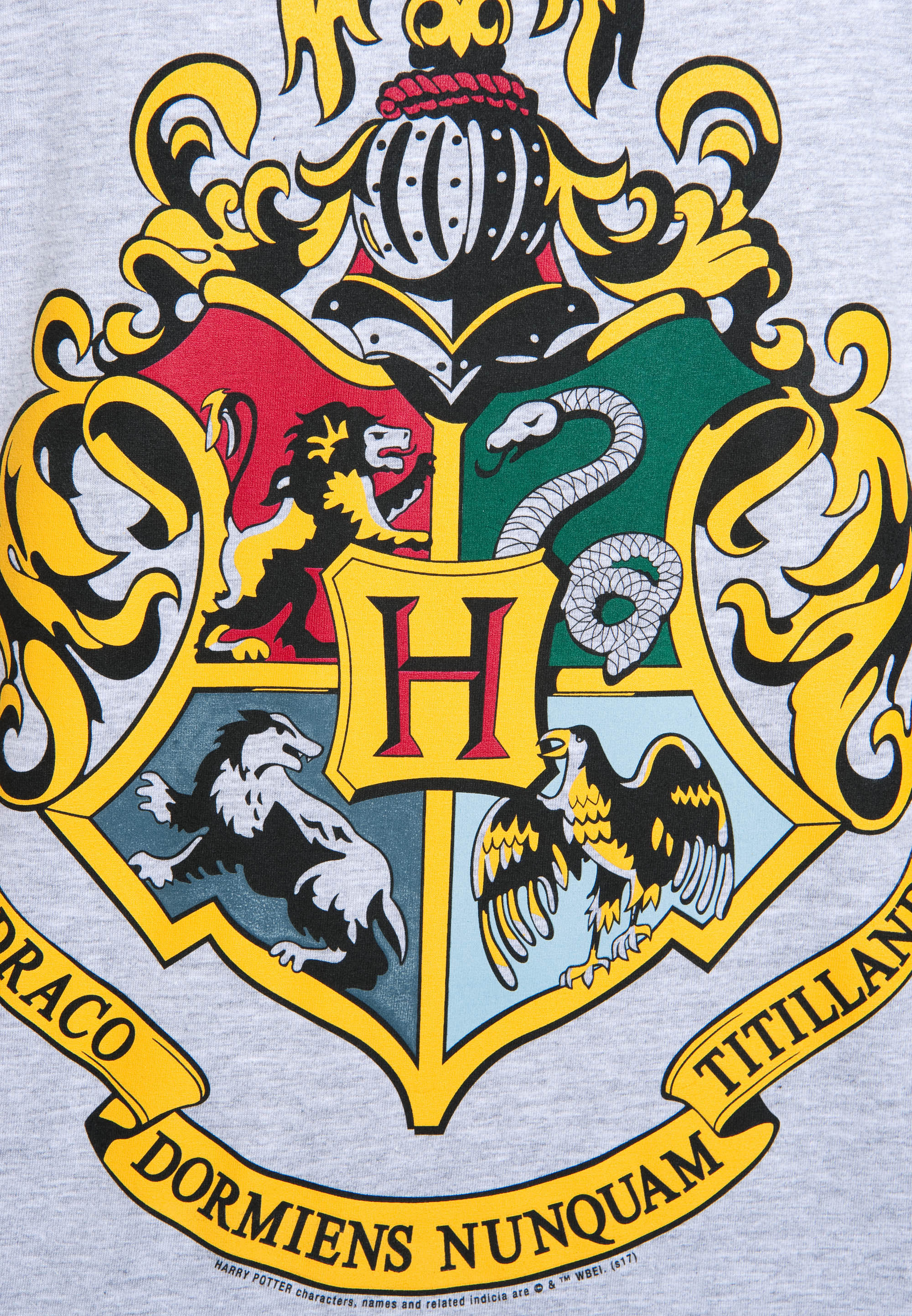 Harry Potter Hogwarts Logo Wappen T Shirt Print Herren